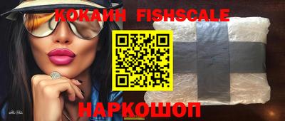 стафф Камышлов