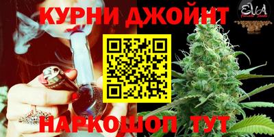 PSILOCYBIN Канаш