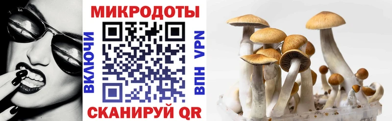 цены   Люберцы  Псилоцибиновые грибы GOLDEN TEACHER 