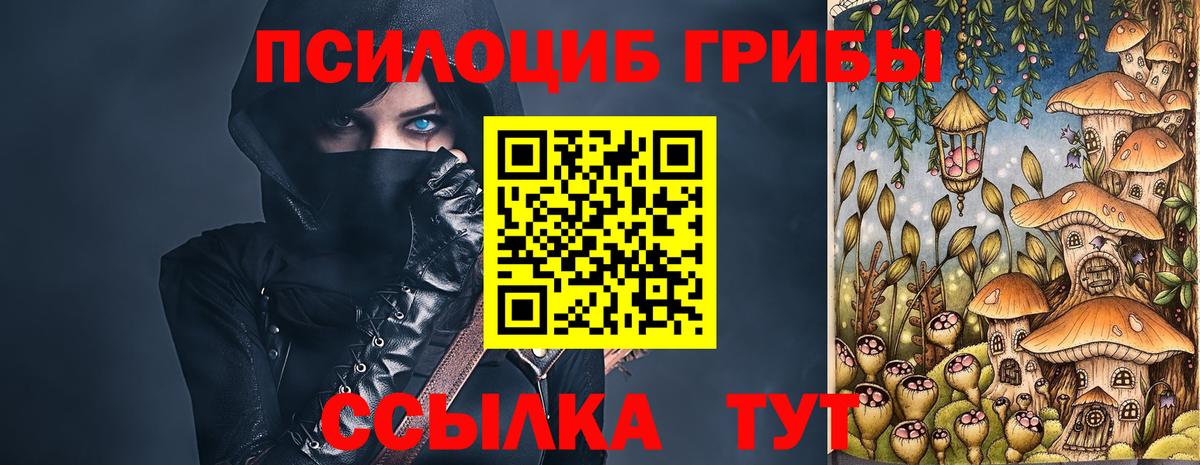 Галлюциногенные грибы Psilocybe Люберцы